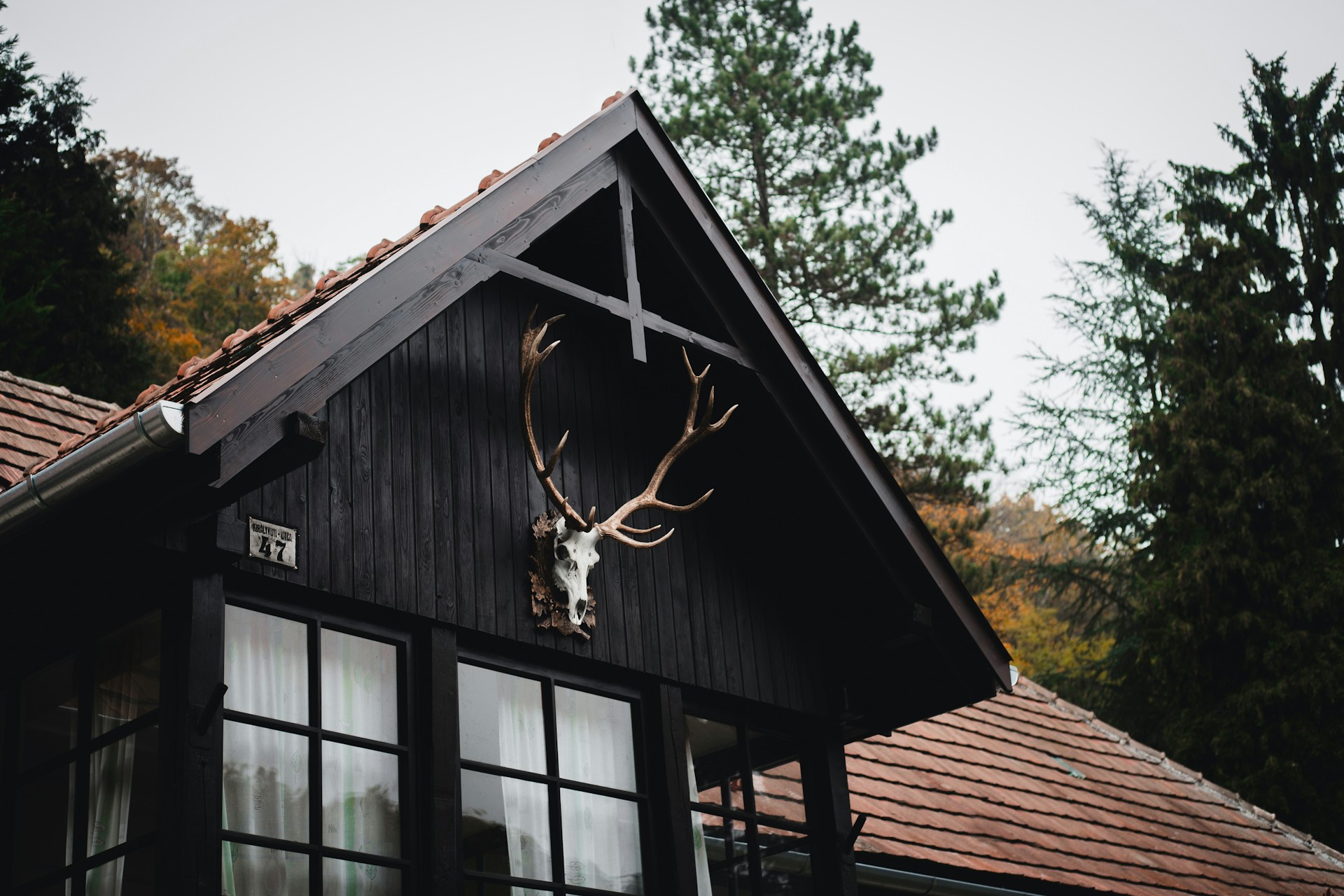 Who knew house hunting could make you sick?